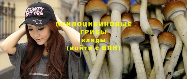mdpv Баксан