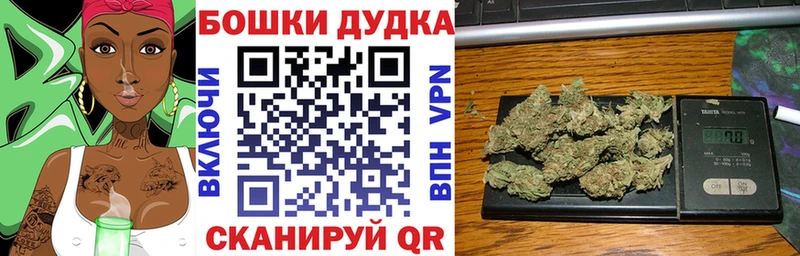 кракен сайт Салаир Бошки Шишки SATIVA & INDICA